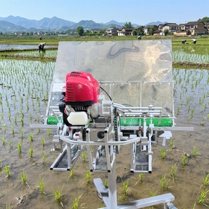 Equipo Agrícola, Máquina de Plantación de Precisión de 4 Líneas x 18 cm, Manual, Multifila, Fábrica Van Lang - Product Image 1