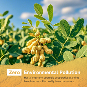 Bán buôn 100% tự nhiên đậu phộng unshelled nguyên hạt từ Trung Quốc - Product Image 2