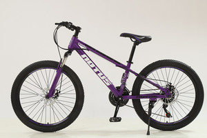 Vélo de montagne MTB 29 pouces pas cher d'usine, vélo de montagne de haute qualité avec frein à disque 26/27,5/29, bicicleta - Product Image 3