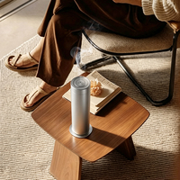 Diffuseur d'aromathérapie portable, distributeur de parfum personnalisé pour les marchands de marques, les espaces hôteliers et de bien-être, les importateurs, l'hôtellerie