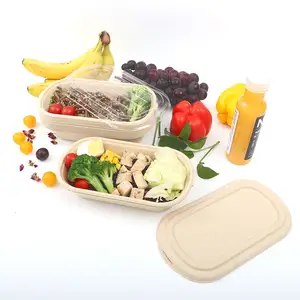 Cibo biodegradabile personalizzato polpa di bambù cornstrach carta usa e getta take Away lunch box con coperchio