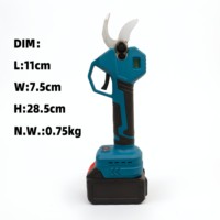 21V Borstelloze Motor Draadloze Oplaadbare Elektrische Snoeischaar 35mm Snijcapaciteit voor het snoeien van tuin- en fruitboomtakken