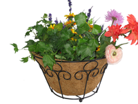 Panier à plantes en ciment noir, design sculpté, doublure en fibre de coco, style américain, pot de fleurs décoratif sculpté à la main pour la maison et le jardin