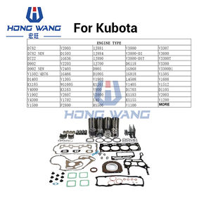 Repuestos de Motor para CUMMINS, CATERPILLAR, PERKINS, HINO, MITSUBISHI, KUBOTA, Kit de Reparación General - Product Image 3