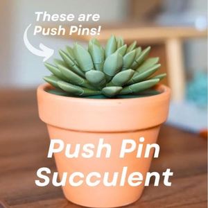 Planta Suculenta Artificial Impresa en 3D con Tecnología de Impresión por Impulsos - Product Image 1