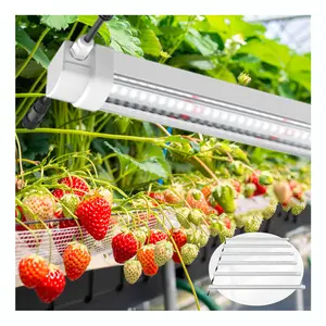 Manufacturer Grow Lights Full Spectrum Customized LED Grow Lamp Waterproof T8 Lamp For Vegetable Fruit Indoor Growing