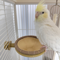 Nid de reproduction pour oiseaux, canaris, pinsons, perroquets, nid en corde de chanvre tissée