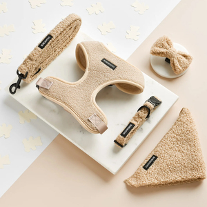 2026 produk baru Premium kustom Logo desainer mewah nyaman hangat Teddy Velvet hewan peliharaan anjing memimpin kerah Harness Set tali - Product Image 6