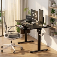 Cadre de bureau ergonomique électrique réglable en hauteur, construction métallique, moderne, extensible, convertible, fixation murale, bureau de luxe