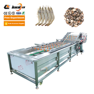 Ligne de machines automatiques de nettoyage de fruits de mer pour la lavage de laitues romaines, de moules et de poissons, à vendre - Product Image 5