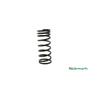 Molla stradale 110 anteriore psg/leve ADATTA PER LAND ROVER - Product Image 1