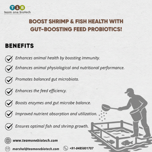 Additif probiotique pour aliments pour poissons, additifs alimentaires de haute qualité pour la santé des poissons - Product Image 1