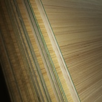 Contrachapado de Abedul y Tilo con Película Protectora EN45545, 300x300mm, 3MM, Núcleo Combinado de Álamo, Uso Interior, E0 Formaldehído, CNC Láser, para Sala de Estar