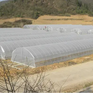 Günstige Tomaten landwirtschaft liche Kunststoff folien abdeckung Low Cost Economic Tunnel Gewächs häuser für Gemüse