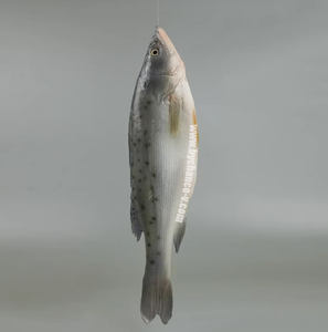 Decoración de Pescado Artificial Realista: Lubina Chilena Falsa para Acento de Cocina, Bar en Casa, Mesa de Buffet, Exhibición de Mariscos - Product Image 1