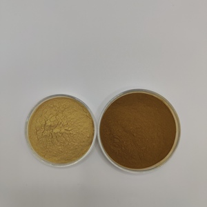 シサンドラベリーエキスパウダー10:1 20:1ピュア - Product Image 2