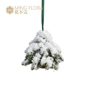 Guirlande miniature Mingflora Fresh Noble Pine pour décoration de Noël, cadeau, branches coupées importées du Danemark - Product Image 2