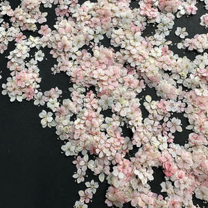 Flor de encaje azul para arte de uñas Marcapáginas Resina <span class=keywords><strong>Planta</strong></span> natural Flor prensada real ecológica - Product Image 1