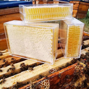 รวงผึ้งแท้ 100% จา<span class=keywords><strong>ก</strong></span>ธรรมชาติ คุณภาพสูง น้ำหนั<span class=keywords><strong>ก</strong></span> 500 <span class=keywords><strong>ก</strong></span>รัม บรรจุในกล่องใส - Product Image 3