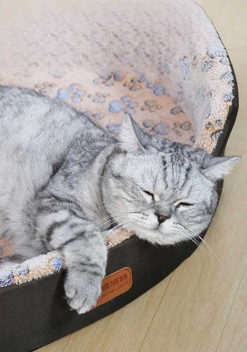 Comfortable Dutch Velvet Dog Bed High Quality Foam Multicolor Warm