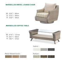 Ensemble de mobilier d'extérieur de luxe moderne en rotin et aluminium Express Garden – Canapés de patio résistants aux UV pour cour, hôtel, ferme