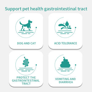 Oem/Odm Natuurlijke Probiotische Poeder Voor Honden Katten Prebiotica Voor Spijsvertering Darm Gezondheid Aanbevolen Dierenartsen Gezondheidszorg Supplementen - Product Image 4