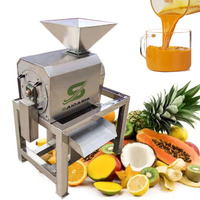 SAIDASHI Ananas Pulper en Sapmachine, Sap- en Vruchtvlees Extractiemachine, Vruchtvlees Extractor voor Sap 500kg/u