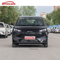 2025 BYD Seagull 305KM 405KM Range Pure Electric Mini Car EV Luxury LHD ACC de carga rápida para vehículos de nueva energía al por mayor