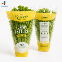 Manchons en BOPP/CPP micro-perforés imprimés sur mesure pour laitues, sacs d'emballage coniques en plastique à ouverture supérieure pour légumes frais