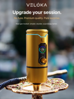 Dispositif de gestion de la chaleur électronique portable et rechargeable pour chicha, système de chauffage électrique pour narguilé avec écran LED pour les États-Unis