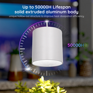 Lampe de culture LED 20W/30/40W, spectre complet, CRI98 élevé, lampe suspendue en aluminium, AC85-265V pour la culture intérieure à la maison et au bureau - Product Image 4