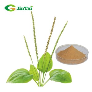 Saf doğal psyseed tohum kabuğu özü 98% 99% <span class=keywords><strong>Plantago</strong></span> Ovata tohum tozu - Product Image 2