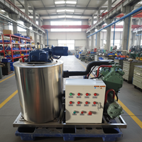 Machine à glace en flocons à refroidissement par eau de 2 tonnes, en acier inoxydable 316, 500 kg, Emerson, pour eau de mer, équipement de bateau de pêche et de fruits de mer