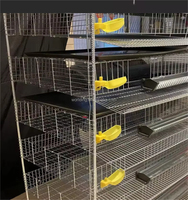 Cage d'élevage pour cailles, Cage tridimensionnelle pour perdrix, Nettoyage automatique du fumier, Cage galvanisée, Cage d'alimentation automatique des œufs
