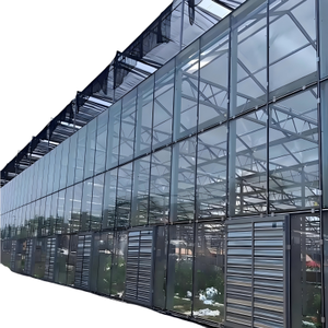 <span class=keywords><strong>Serre</strong></span> en verre automatisée pour l'agriculture verticale, <span class=keywords><strong>serre</strong></span> de plantation à haute densité avec système de convoyeur - Product Image 1