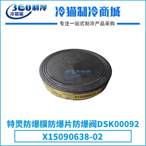 Vanne antidéflagrante Trane DSK00092 X15090638-02 pour compresseur à vis et à piston - Product Image 5
