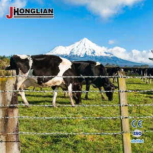 Alambre de Púas Galvanizado de Bajo Precio, Calibre 12.5, 2 Hilos, 500M, Alambre de Púas Tensile - Product Image 2