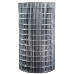 1Inch x 1Inch Heavy Duty Galvanized Welded Wire Mesh For Construction