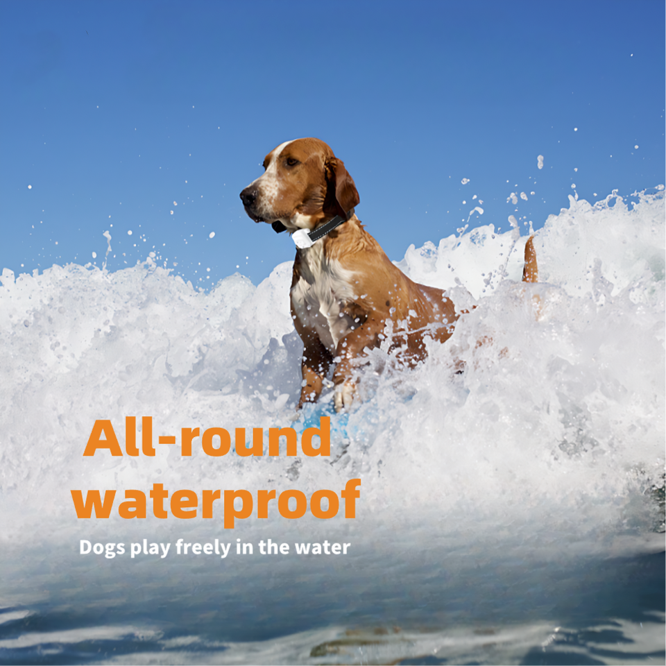 Futurepets Smart Humane Dog Bark Deterrent Device - Rechargeable, Waterproof IPX7 - Ningbo Qichang I