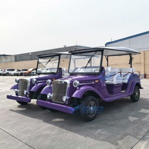 Voiture de tourisme classique haut de gamme, buggy antique personnalisé, chariot électrique vintage 8 places pour le tourisme et les transports spéciaux - Product Image 1