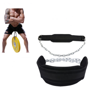 Nhà Máy Giá Heavy Duty Đôi Phòng Tập Thể Dục Tập Thể Dục Nâng Tạ Nhúng Vành Đai Với Chuỗi Thép - Product Image 5