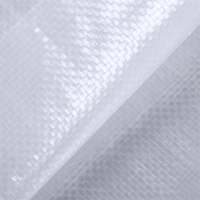 Sac en plastique PP en gros d'usine 20Kg 25Kg 50Kg pour riz, riz cassé, blanc, transparent, tissé, emballage pour riz