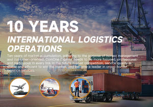 DP Express Freight forwarder door-to-door Shenzhen zech Republic austria hungary bulair garia + บริการด่วน - Product Image 4