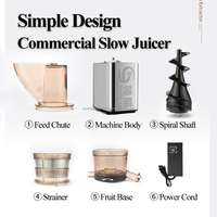 600W Commerciële Roestvrijstalen Huishoudelijke Brede Parachute Kauwen Trage Snelheid Koude Pers Appel Oranje Vers Fruit Juicer Machine