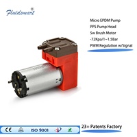 Pompe à diaphragme miniature portable Fluidsmart 24V DC de haute qualité, faible pression, silencieuse