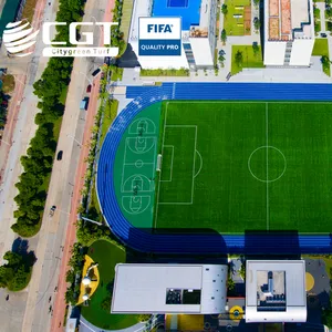 Fußballplatz Fußball Künstlicher Fußball im Freien Rasen Grüner Rasen Teppich Spezielle gefälschte Gras matte Pasto Sintetico