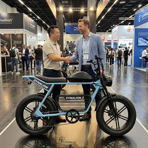 Prix direct usine pour vélos électriques avec emballage carton export, e-bikes pour les réunions d'approbation des <span class=keywords><strong>devis</strong></span> fournisseur - Product Image 6