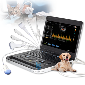 Best Verkochte Draagbare 3d 4d Kleur Doppler Echo Echografie <span class=keywords><strong>Machine</strong></span> Veterinair Pw Cw Echografie Diagnostisch Instrument - Product Image 1