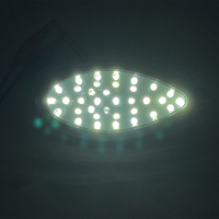 Signalleuchte LKW Auto LED-Lichter 10LED 2W 12V-24V LKW-Anhänger-Lampe Seitenmarkierungsleuchte