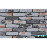 BERICH PL01 Briques fines pour revêtement mural extérieur, briques blanches en vente